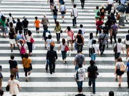 Infographie : pilotage de la masse salariale Infographie sur la masse salariale