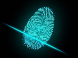 Cahier des charges : MDM – Master Data Management